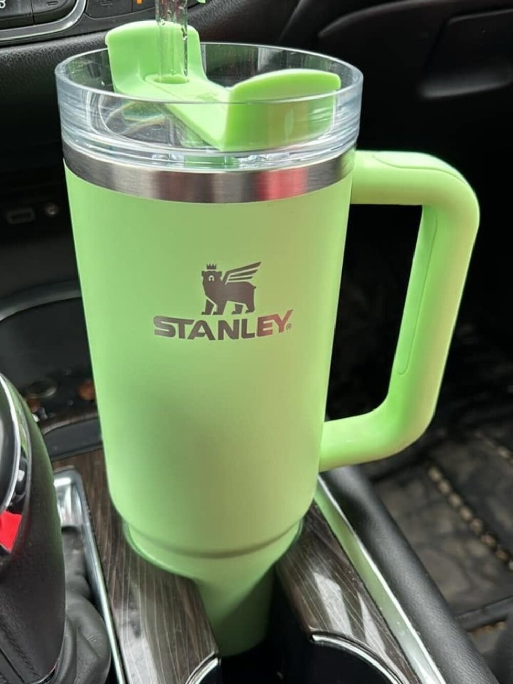 STANLEY 30 oz. Quencher Tumbler Feather Green